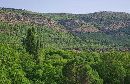 Casas Rurales Los Enebros Nerpio - Foto 13