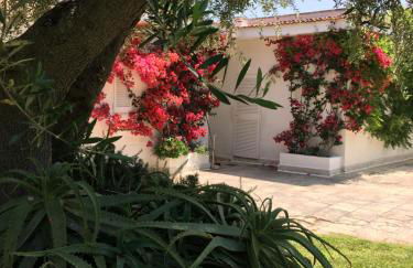 Villa sul mare Rosa Marina - Foto 16