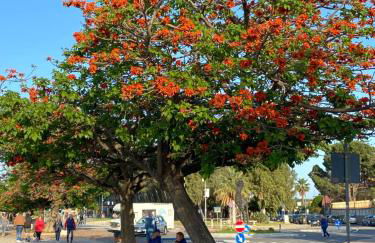 Luce del Sole - Photo 53