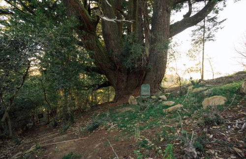 Apartment w hot tub forest & ocean view - Foto 21