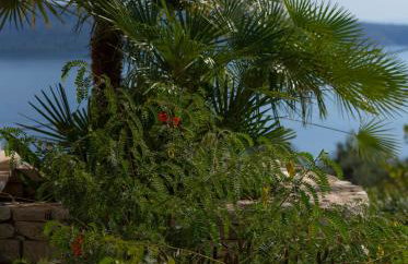 Bellina Villa - Foto 15