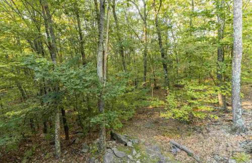 Catskill Cabin with Firepit & Indoor Jacuzzi Tub - Foto 54