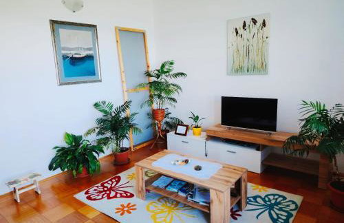 FoREST Heritage Apartment - Foto 22