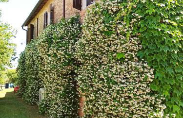 Podere Cartaio Bio Farm, private pool, AirC - Foto 37