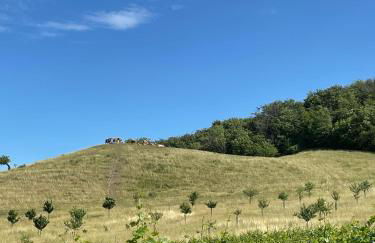 Ferienhaus Jena - Feuer und Flamme - Foto 41