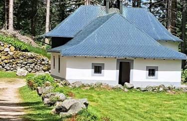 Chalet Le Belvédère, vue exceptionnelle dans les Hautes Vosges - Foto 48