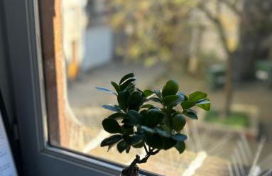 Limoges Centre Appartement de Charme - Foto 19