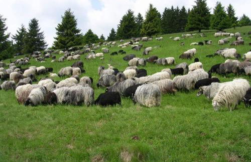 Apartment Preising - Foto 24