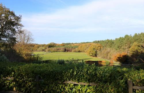 Long Meadow - Foto 14