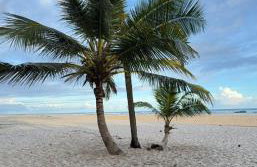 Luxuosa casa, a 150m da praia - Foto 30