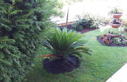 Andela Apartment - Foto 13