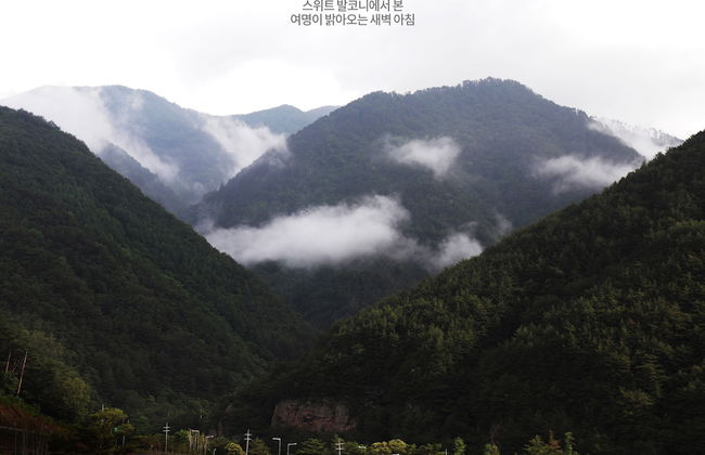 Pine Forest - Photo 23