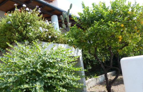 Casa Athena - Foto 20