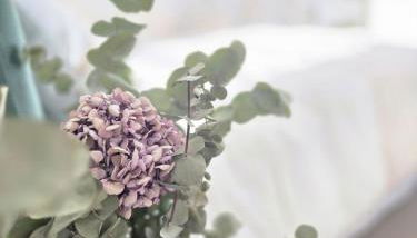 Proche Paris et Disneyland - Foto 4