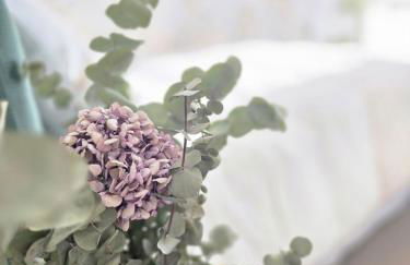 Proche Paris et Disneyland - Foto 4