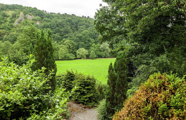 Nature Escape in Bohon - Photo 36