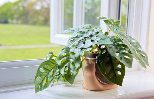 New Forest Cozy 3-Bed Family Cottage, PaultonsPark - Foto 56