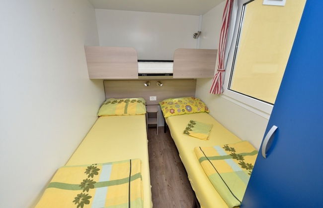 Iva - Great Garden - H - Photo 2