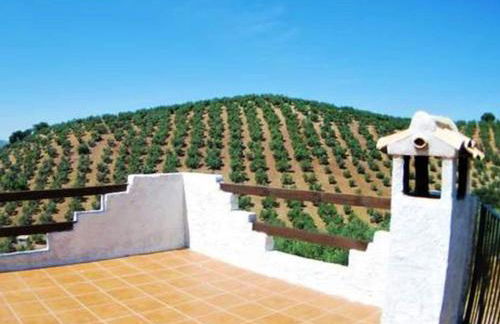 Country House in Andalusia with Pool - Foto 8