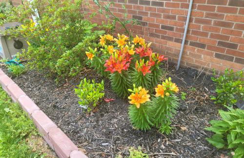 Firepit Games Grill Hot Tub Arcade & King Bed - Photo 23