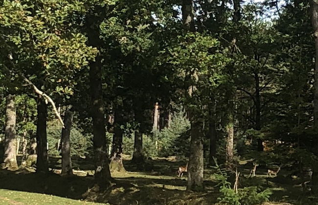 St Georges Balcony Suite - Foto 39