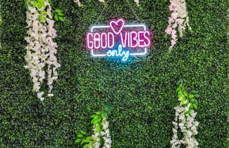 Half Mile from ZooTampa - Fun - Foto 61