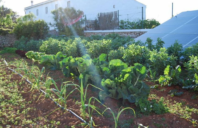 Agroturismo Biniati Des Pi - Photo 47