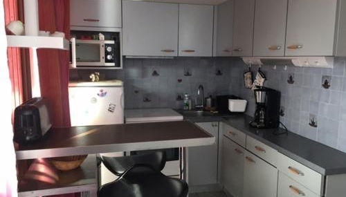 APPARTEMENT DE MONTAGNE - Foto 3