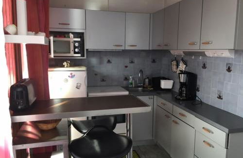 APPARTEMENT DE MONTAGNE - Foto 3