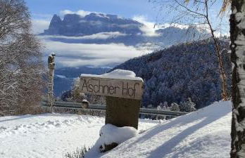 Aschnerhof Holzherz - Foto 32