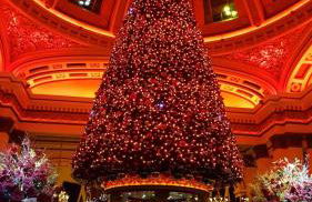 Chill Out at Seton Sands - Foto 42