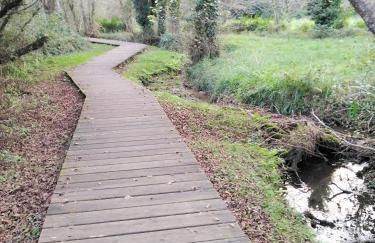TERRA DO MAR ático nuevo en Costa da Morte, Camino de los faros - Foto 44