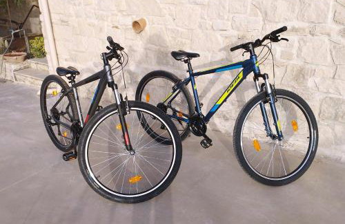 Villa Vitsilias under the cretan sky - Photo 48