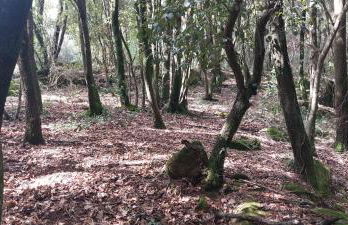 El Racó dels Mussols 2 - Foto 44