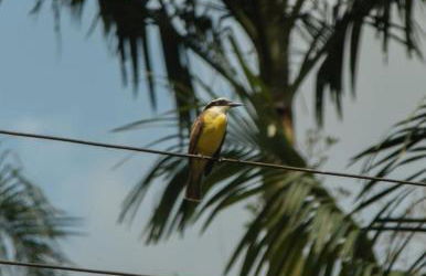 Pousada Nonno Marquetti - Foto 9