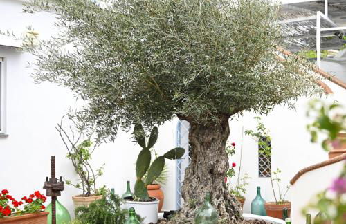 LA VILLA AURELIA - Foto 31