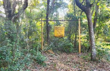 River Daze Cabin - A cozy cabin right on the river - Foto 13