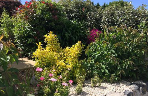 Little Coombe - Foto 36