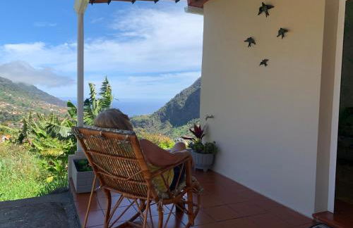 Terra Batista house - Photo 5