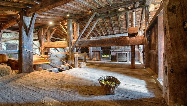 Tour "Basque Farm House & Cider house" + refeição saindo de San Sebastian - Foto 3