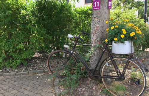 Palminas Ferienwohnung OG - Foto 43