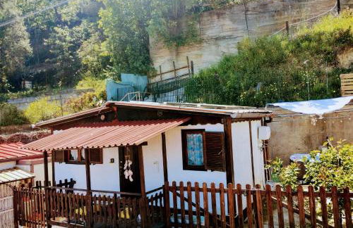 Bungalow Sixdays 2 - Photo 3