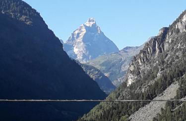 The Green Owl - Foto 50