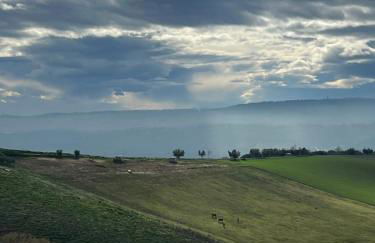 Country House Torrenera - Foto 6