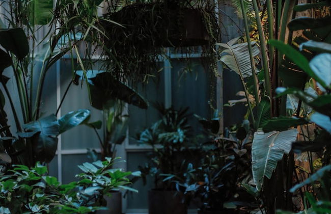 The Urban Newtown - Foto 56