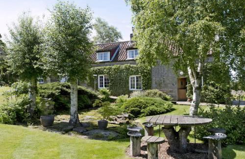 Limber View - Foto 13