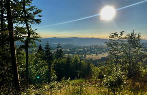 Sowia Enklawa - Foto 34