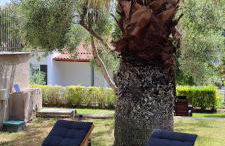 Villa Βianca in Sithonia - Foto 57