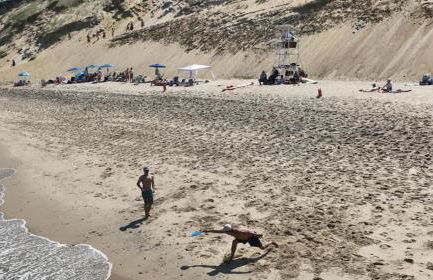 Serene Gardens 2 Miles to Beaches - Foto 43