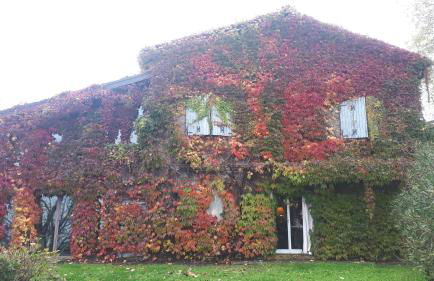 La Casa Sopra Le Nuvole - Foto 3